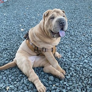 Meet your Posher, Kaleb